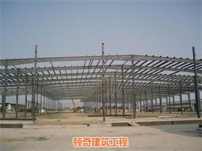 匠心筑造绿色未来—顿奇建筑工程钢结构大棚推广特别报道